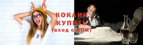 индика Армянск