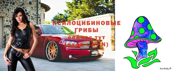 круглые Арсеньев