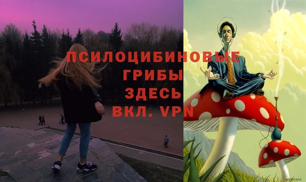 МДПВ Аркадак