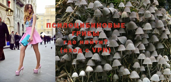 индика Армянск